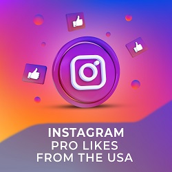 Buy Instagram PRO USA Likes