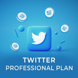 Twitter - Professional Plan