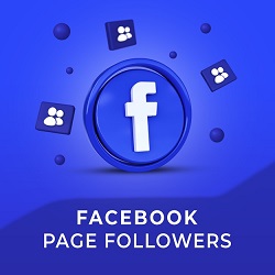 Facebook - Followers