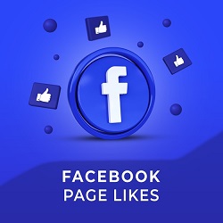Buy 3000 Facebook Page Likes
